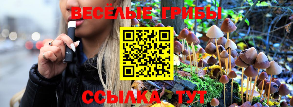 Псилоцибиновые грибы мицелий  цены   Выборг  Вход с VPN 