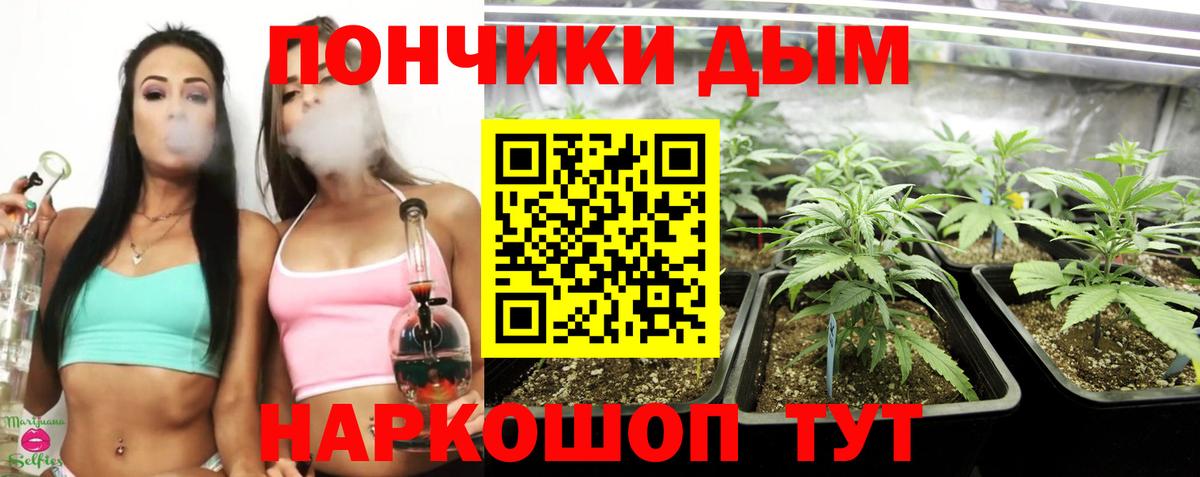 Конопля Ganja  МАРИХУАНА White Widow  Выборг  Вход с VPN 